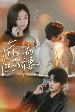 偷心劫匪是娇妻