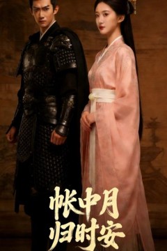 帐中月，归时安