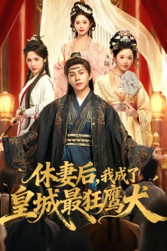 休妻后，我成了皇城最狂鹰犬