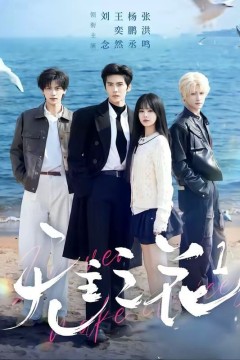 无主之花1