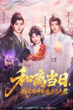 和离当日，我宝箱开出魔尊当夫君