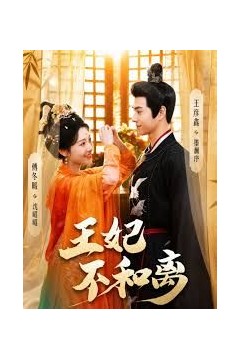 王妃不和离